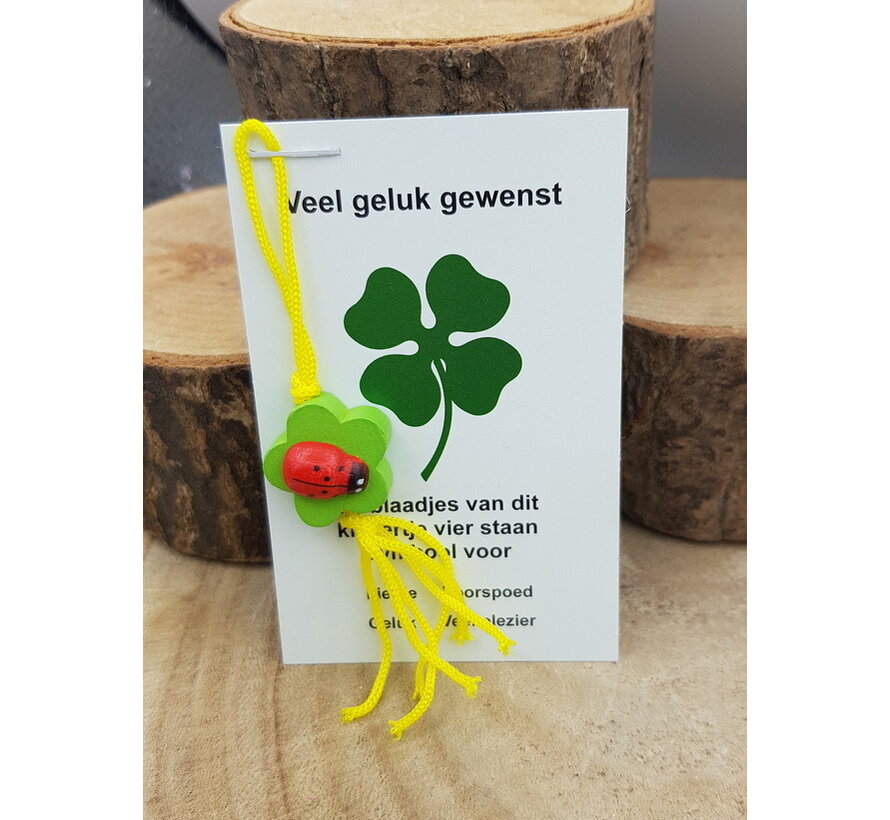 Klaver vier met lieveheersbeestje op kaartje