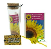 Zonnebloem cadeau you’re my sunshine