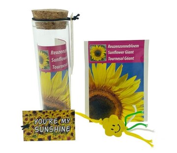 Zonnebloem cadeau you’re my sunshine