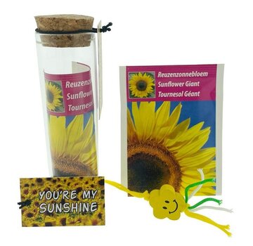 Zonnebloem cadeau you’re my sunshine