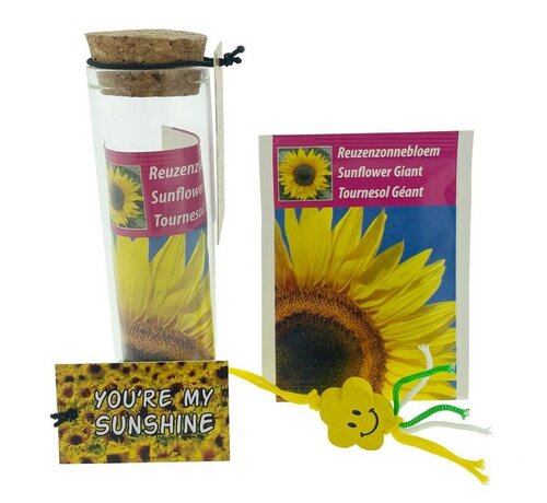 Zonnebloem cadeau you’re my sunshine