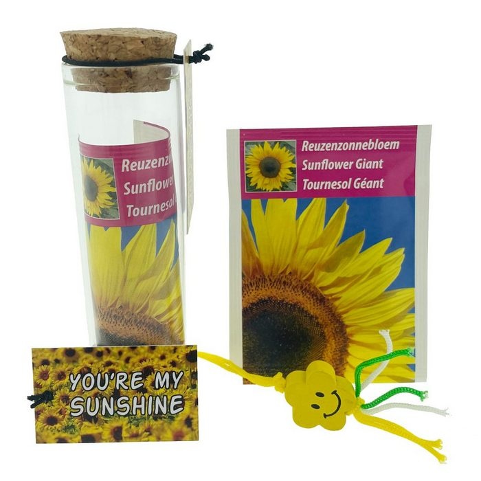 https://cdn.webshopapp.com/shops/259274/files/479026824/file.jpg