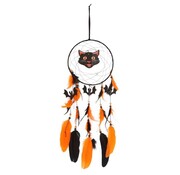Halloween dromenvanger zwarte kat