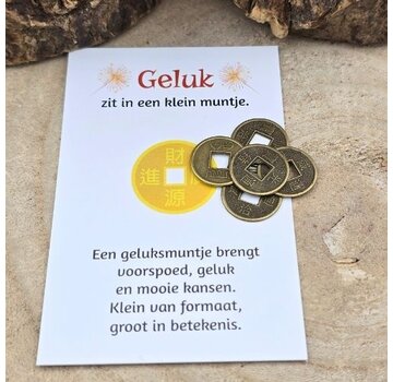 5 Mini Chinese Geluksmuntjes met Kaartje