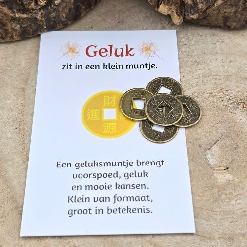 https://cdn.webshopapp.com/shops/259274/files/484176853/file.jpg