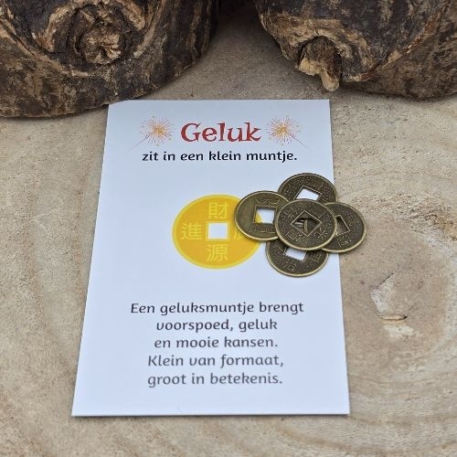 https://cdn.webshopapp.com/shops/259274/files/484176856/file.jpg