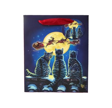 Kerstmis Katten - Cadeautasje