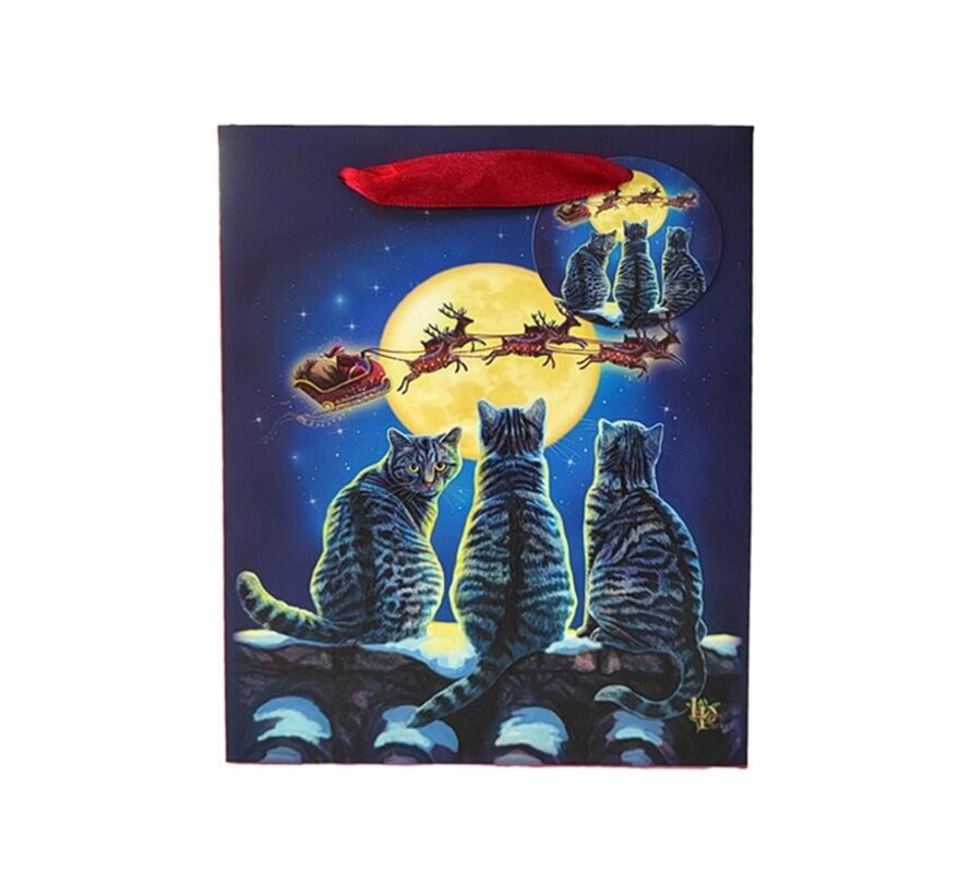Kerstmis Katten - Cadeautasje