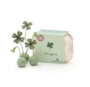 Veel geluk! Klavertjes in eierdoosje