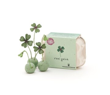 Veel geluk! Klavertjes in eierdoosje