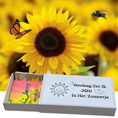 https://cdn.webshopapp.com/shops/259274/files/496951290/file.jpg