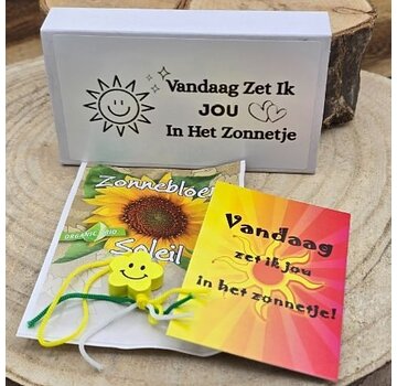 Wensdoosje Vandaag Zet Ik Jou in het Zonnetje | Groot