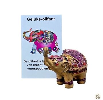 Geluksolifantje Gedecoreerd met Cadeaukaartje
