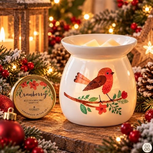 https://cdn.webshopapp.com/shops/259274/files/502924700/file.jpg
