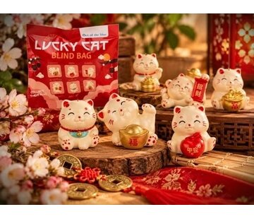 Lucky Cat Verrassingszakje