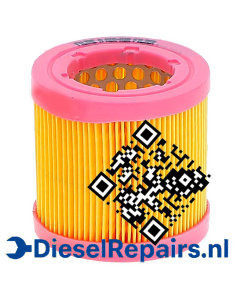 Equivale Elemento filtro de aire para Solé 13810073