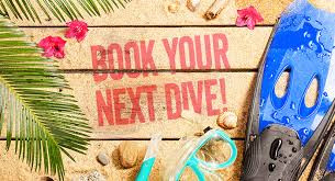 Agenda bootduiken 2019 staat online!