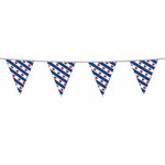 Vlaggenlijn Friesland