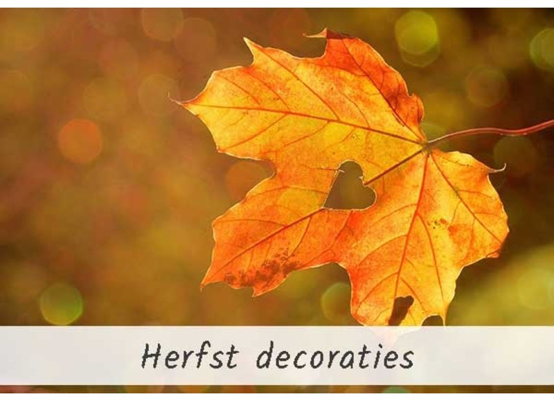 Herfst Herfst