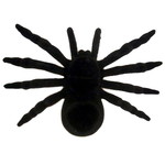 Spin tarantula zwart 16cm