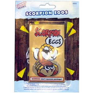 Schorpion eieren Schorpion eieren