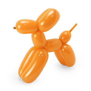 Modelleerballonnen set met pompje Modelleerballonnen set met pompje