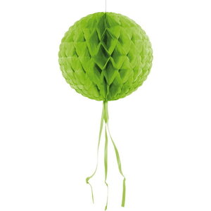 Honeycomb decoratie 30cm lichtgroen Honeycomb decoratie 30cm lichtgroen