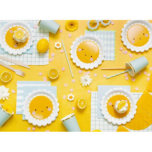 Bordjes zonnetje 6 stuks