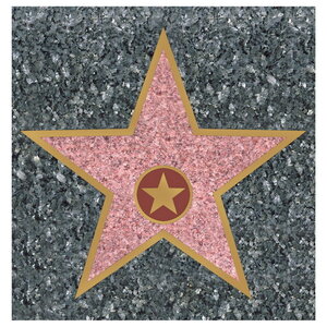 Hollywood Walk of fame ster Hollywood Walk of fame ster
