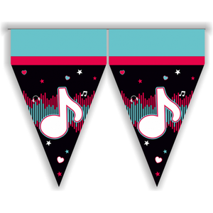 Vlaggenlijn TikTok Danceparty 3 meter