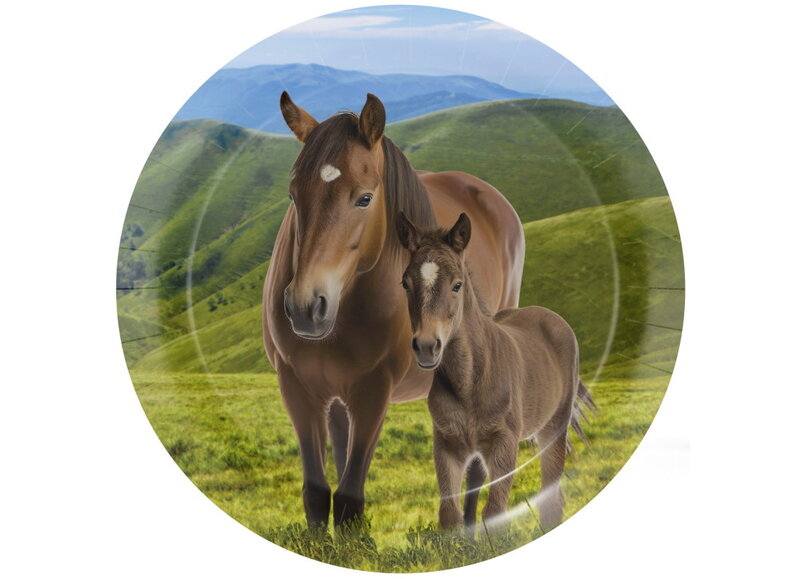 Paarden versiering Paarden versiering