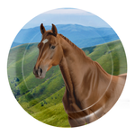 Gebaksbordjes paard 8 stuks