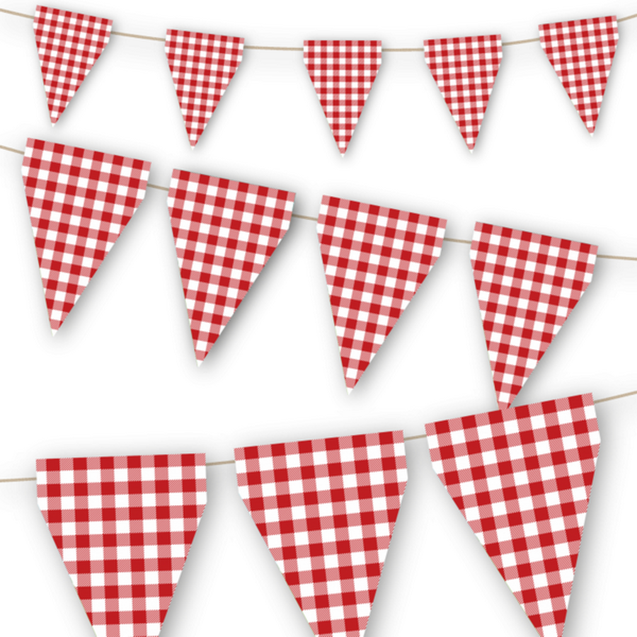 Vlaggenlijn Picknick rood wit papier 3 meter