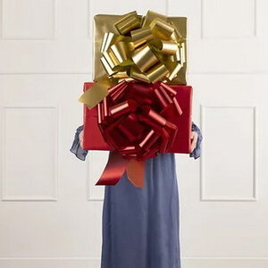 Cadeau strik luxe 40cm rood