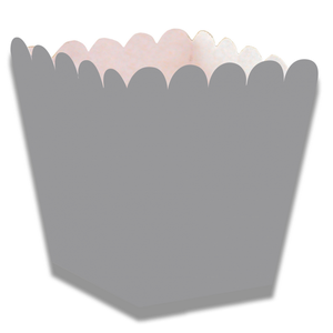 Snackbakjes mini zilverkleurig 6 stuks Snackbakjes mini zilverkleurig 6 stuks