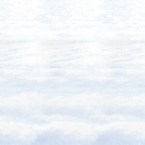Wanddecoratie Sneeuw 120cm x 9m Wanddecoratie Sneeuw 120cm x 9m