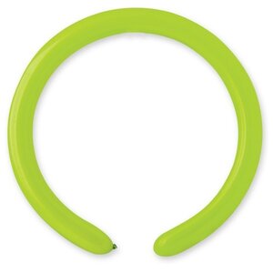 Modelleerballonnen 500 stuks