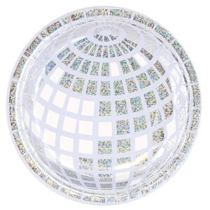 Gebaksbordjes Disco wit zilver 6 stuks Gebaksbordjes Disco wit zilver 6 stuks