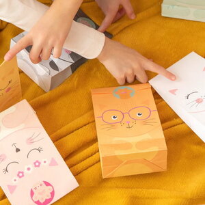 Feestzakjes katten gezichten 6 stuks Feestzakjes katten gezichten 6 stuks