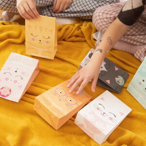 Feestzakjes katten gezichten 6 stuks Feestzakjes katten gezichten 6 stuks