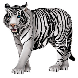 Decoratie Tijger dubbelzijdig bedrukt