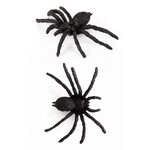 Spinnen 6 stuks