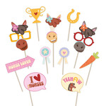 Foto pops paarden party 11 stuks