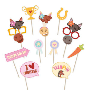 Foto pops paarden party 11 stuks