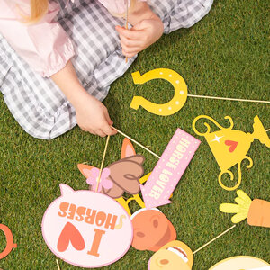 Foto pops paarden party 11 stuks