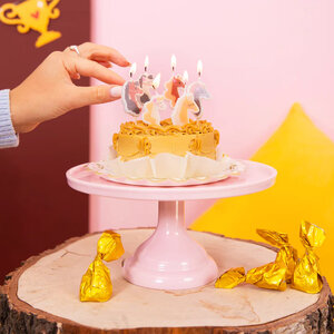 Kaarsjes paarden party 6 stuks