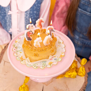Kaarsjes paarden party 6 stuks