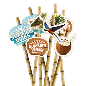 Rietjes Summer Vibes 8 stuks