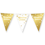 Vlaggenlijn Officieel met Pensioen goud wit