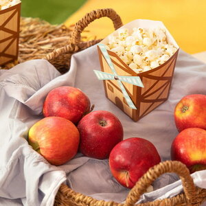 Popcorn bakjes Boerderij Molen 6 stuks